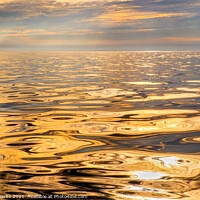 Buy canvas prints of Golden evening by geoff shoults