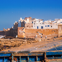 Buy canvas prints of Essaouira by geoff shoults