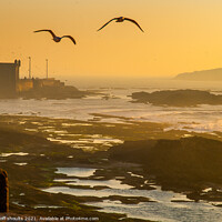 Buy canvas prints of Essaouira sunset by geoff shoults