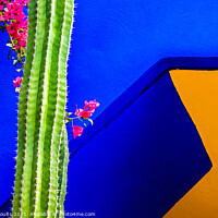 Buy canvas prints of Colours of Morocco by geoff shoults