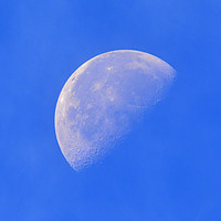 Buy canvas prints of "Moon on a Sunny Day" by Adrian Collins