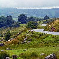 Buy canvas prints of "The Winding Road" by Adrian Collins