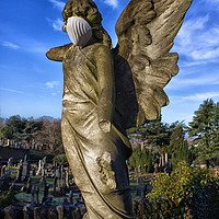 Buy canvas prints of Angels with not so dirty faces by Steve Haseldine