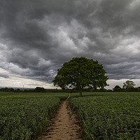 Buy canvas prints of The Storm Path by Steve Haseldine