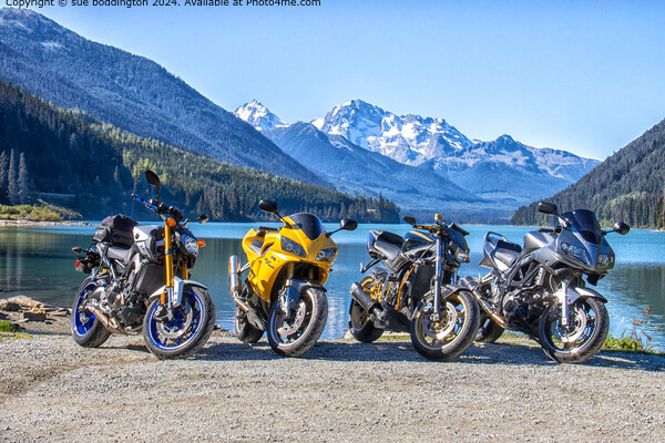 Rocky Mountains Motorbike Adventure Picture Board by sue boddington