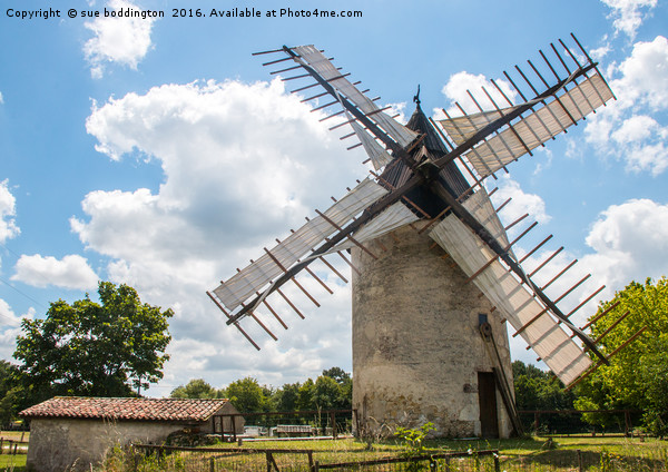 Windmill at Le Mayne Picture Board by sue boddington