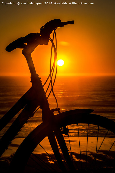 Cycling into the sunset Picture Board by sue boddington