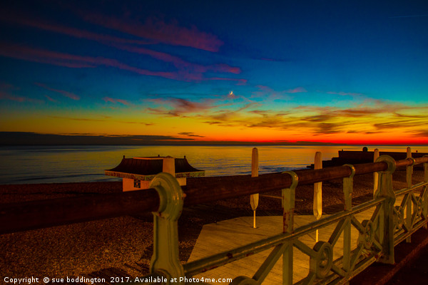Brighton by night Picture Board by sue boddington