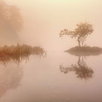 Buy canvas prints of Rydal mist by Paul Bullen