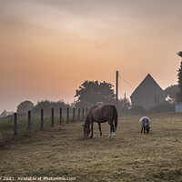 Buy canvas prints of A Normandy Morning by Gary Parker