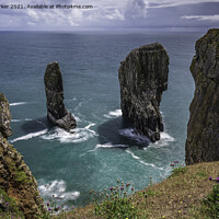Buy canvas prints of Elegug Stacks, Pembrokeshire, south Wales.  by Gary Parker