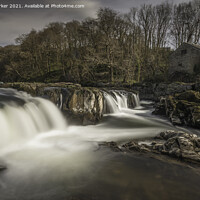 Buy canvas prints of Cenarth Falls, Camarthenshire, Wales by Gary Parker