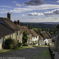 Buy canvas prints of Gold Hill view, Dorset by Gary Parker