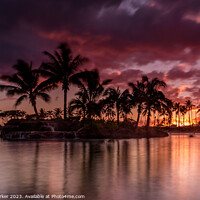 Buy canvas prints of Hawaiian Sunset by Gary Parker