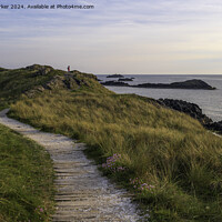 Buy canvas prints of Path to ynys llanddwyn, Angelsey, north Wales by Gary Parker