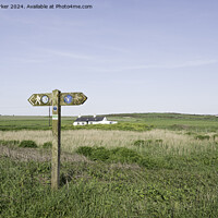 Buy canvas prints of Wales Coastal path directional wooden sign. Location is Angelsey.  by Gary Parker