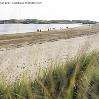 Buy canvas prints of A bright day on the coast at Ynys Llanddwyn, Angelsey, North Wales. by Gary Parker