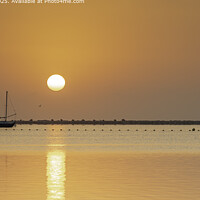 Mediterranean Sunrise Sailboat
