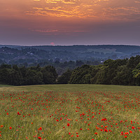 Buy canvas prints of Poppy Field Sunset by Gary Parker