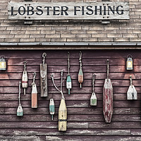 Buy canvas prints of Floats on the outside wall of lobster fishing hut by Gary Parker