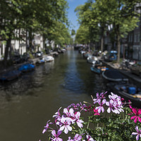 Buy canvas prints of Summer flowers overlooking a canal in Amsterdam by Gary Parker