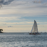 Buy canvas prints of Key West Catamaran by Gary Parker