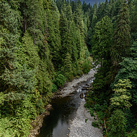 Buy canvas prints of Capilano River, Vancouver, Canada  by Gary Parker