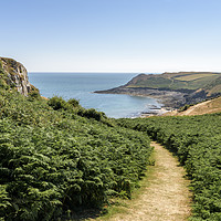Buy canvas prints of A path leading through foliage, towards the sea by Gary Parker