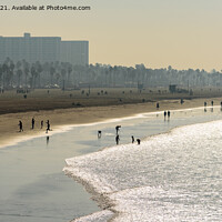 Buy canvas prints of Santa Monica beach, early in the morning by Gary Parker