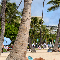 Buy canvas prints of Waikiki Beach  by Gary Parker