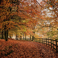 Buy canvas prints of Ryburn in Autumn by Mark S Rosser