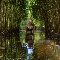 Buy canvas prints of Deep In The Mangroves by George Haddad