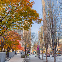 Buy canvas prints of Fall in the City by jonathan nguyen