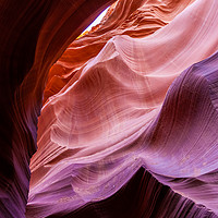 Buy canvas prints of The Natural Sculpture by jonathan nguyen