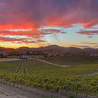 Buy canvas prints of Fire Over Vineyard by jonathan nguyen