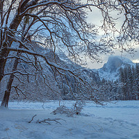 Buy canvas prints of Winter in Yosemite by jonathan nguyen