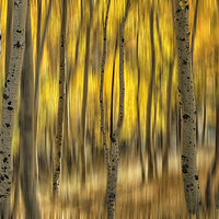 Buy canvas prints of Fall Abstract by jonathan nguyen