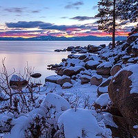 Buy canvas prints of White Tahoe by jonathan nguyen