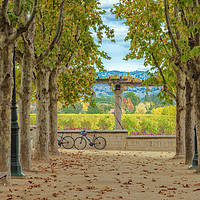 Buy canvas prints of Winery in Autumn  by jonathan nguyen