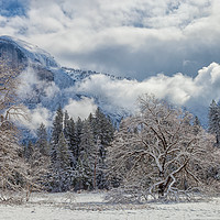 Buy canvas prints of White Yosemite by jonathan nguyen