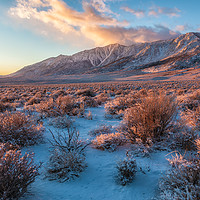 Buy canvas prints of Winter In The Desert by jonathan nguyen
