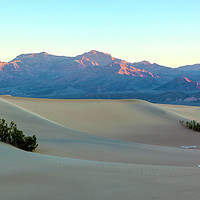 Buy canvas prints of Dunes At sunrise by jonathan nguyen