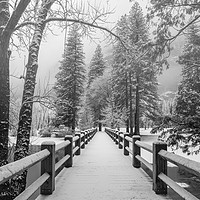 Buy canvas prints of Welcome To Winter-Land BW by jonathan nguyen
