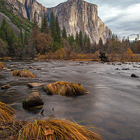 Buy canvas prints of Fall In Yosemite  by jonathan nguyen