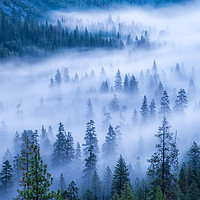 Buy canvas prints of Streaming Fog by jonathan nguyen