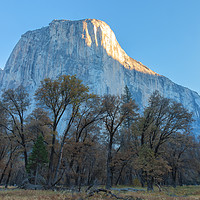 Buy canvas prints of El Capitan Yosemite by jonathan nguyen