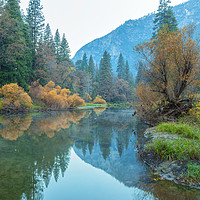 Buy canvas prints of Yosemite Autumnal Scene by jonathan nguyen