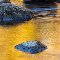 Buy canvas prints of Golden Stream by jonathan nguyen