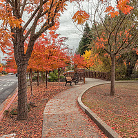 Buy canvas prints of Yountville in Autumn by jonathan nguyen