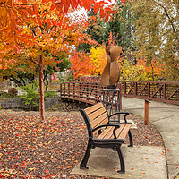 Buy canvas prints of Yountville in  Autumn 2 by jonathan nguyen